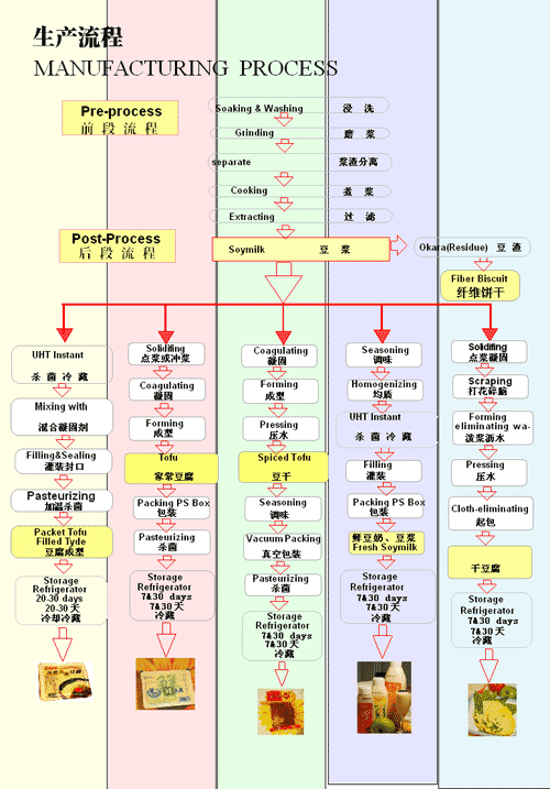 249393彩霸王