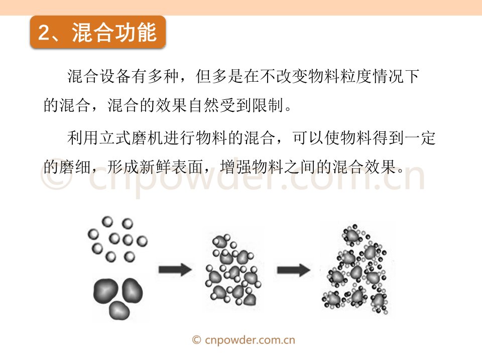 249393彩霸王