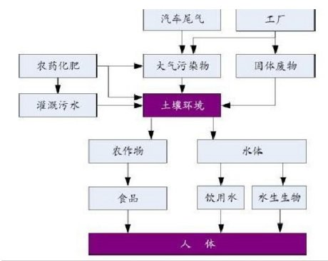 249393彩霸王